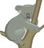 Koala In Tree Clip Art